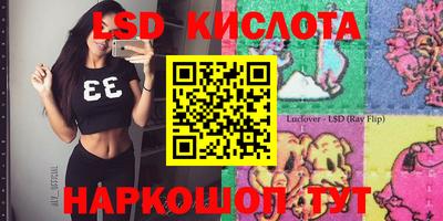 стаф Малгобек