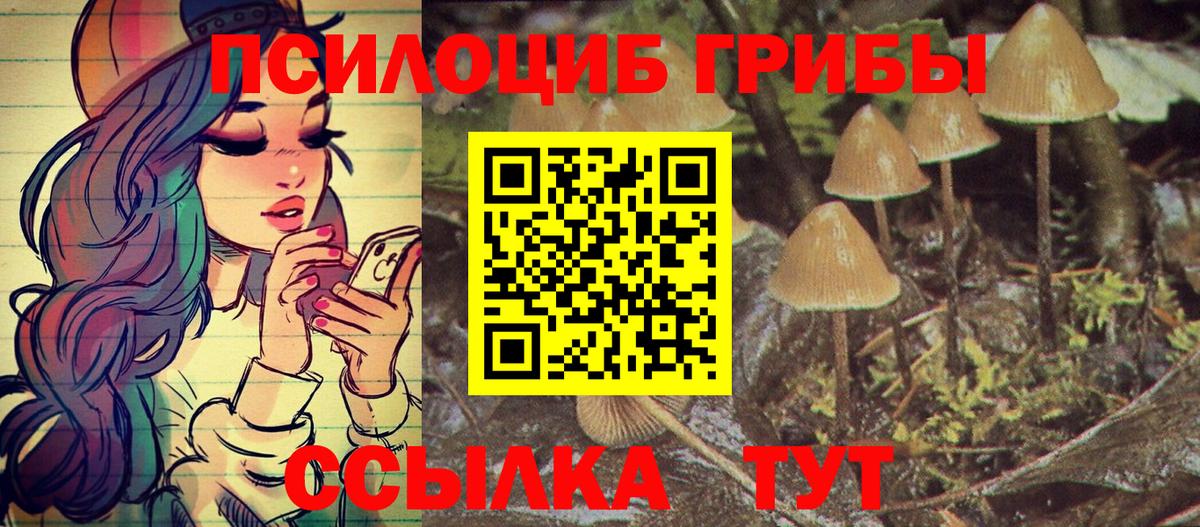 Дюртюли  Псилоцибиновые грибы MAGIC MUSHROOMS  Вход с VPN  Галлюциногенные грибы ЛСД 